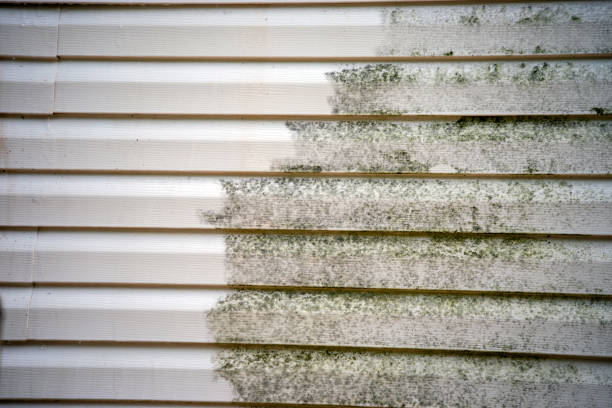 Best Demolition Debris Removal  in Mcconnelsville, OH
