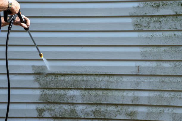 Best Foreclosure Cleanout  in Mcconnelsville, OH